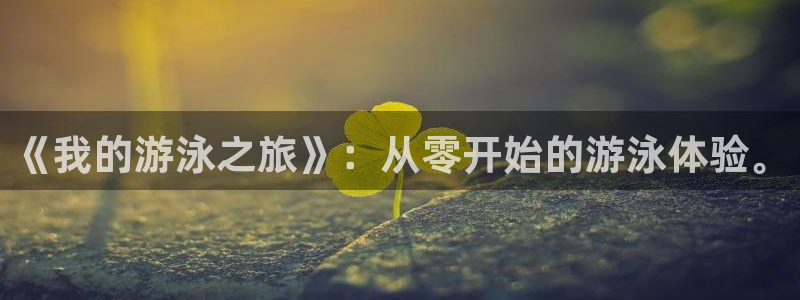 xc体育app官方网站