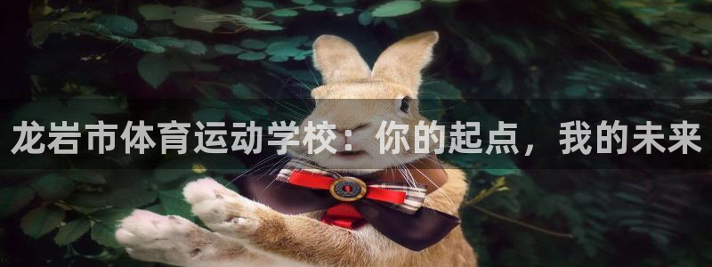 xc体育