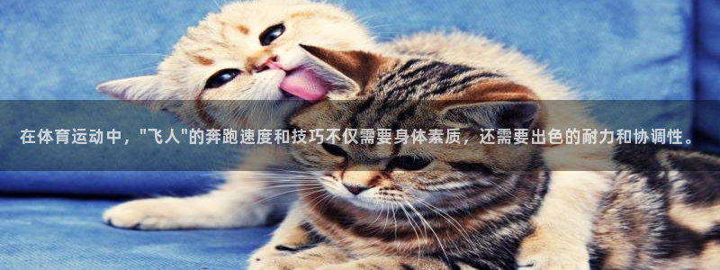xc体育