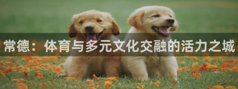 xc体育