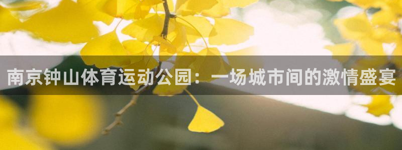 xc体育app官方网站