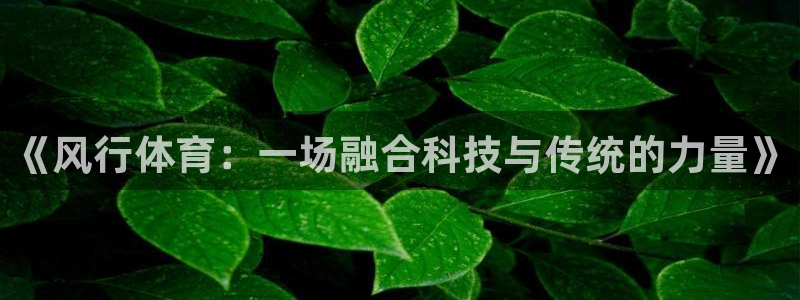 xc体育